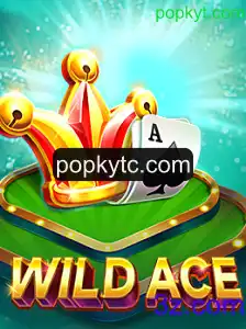 Descubra o Fascinante Mundo de WildAce: O Jogo do Ano